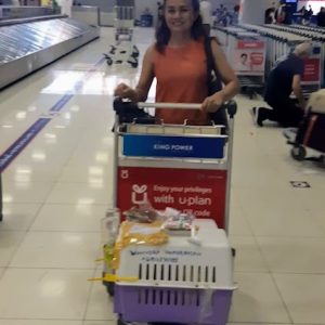 IMG-20181231-WA0003
